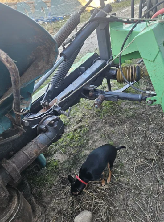 Kosiarka dyskowa DEUTZ FAHR SM 5.28 - Kosiarka - foto 5